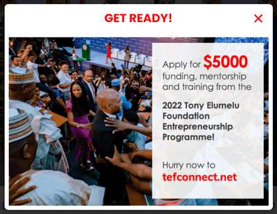 Tony Elumelu Foundation Entrepreneurship Programme