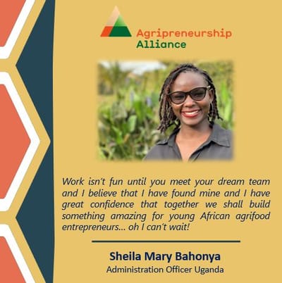 Growing agribusiness entrepreneurs in Africa image