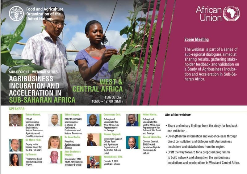 Webinar: Agribusiness Incubation in Sub-Saharan Africa - West and Central Africa