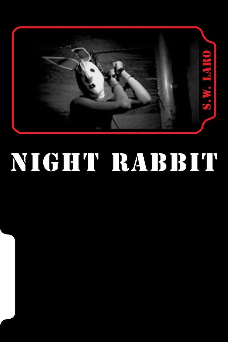 NOTES on 'Night Rabbit'