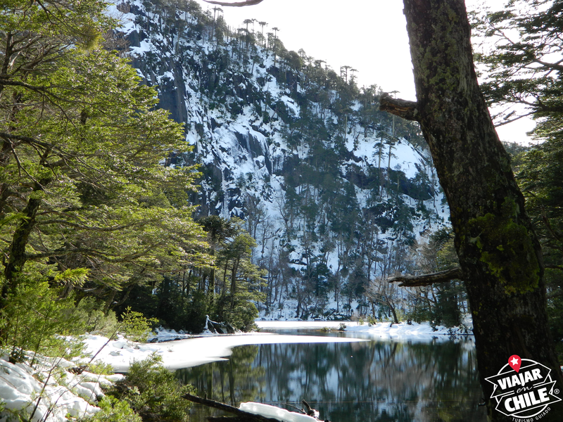 Parque Nacional Huerquehue