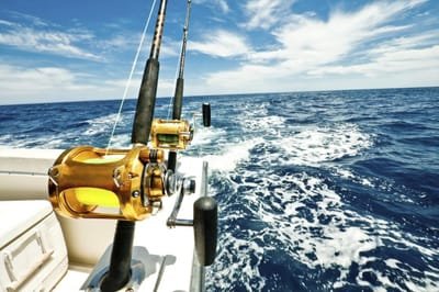 Factors to Consider When Selecting a Fishing Charter Company image