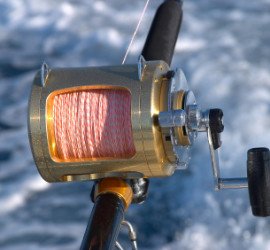 The Benefits of Fishing Charter image