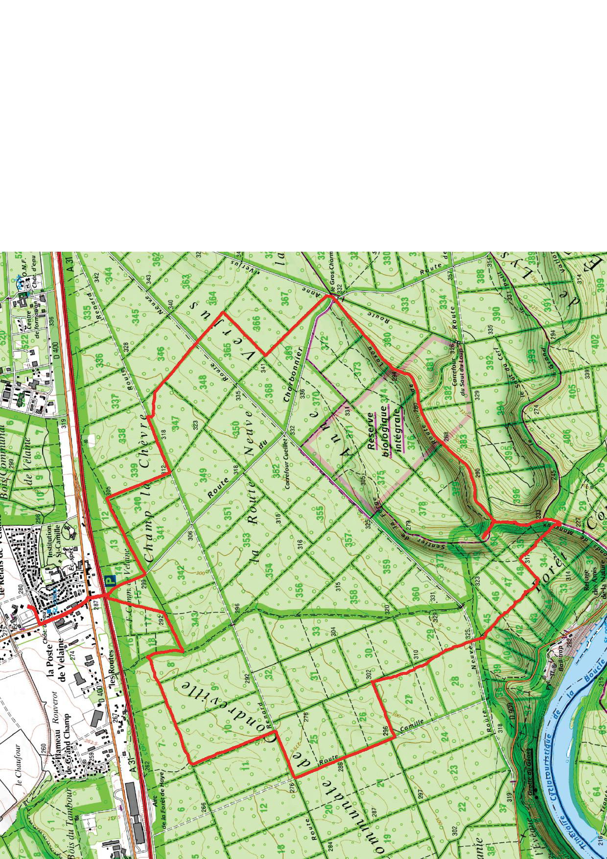 VELAINE-en-HAYE 1 - 14,65 km