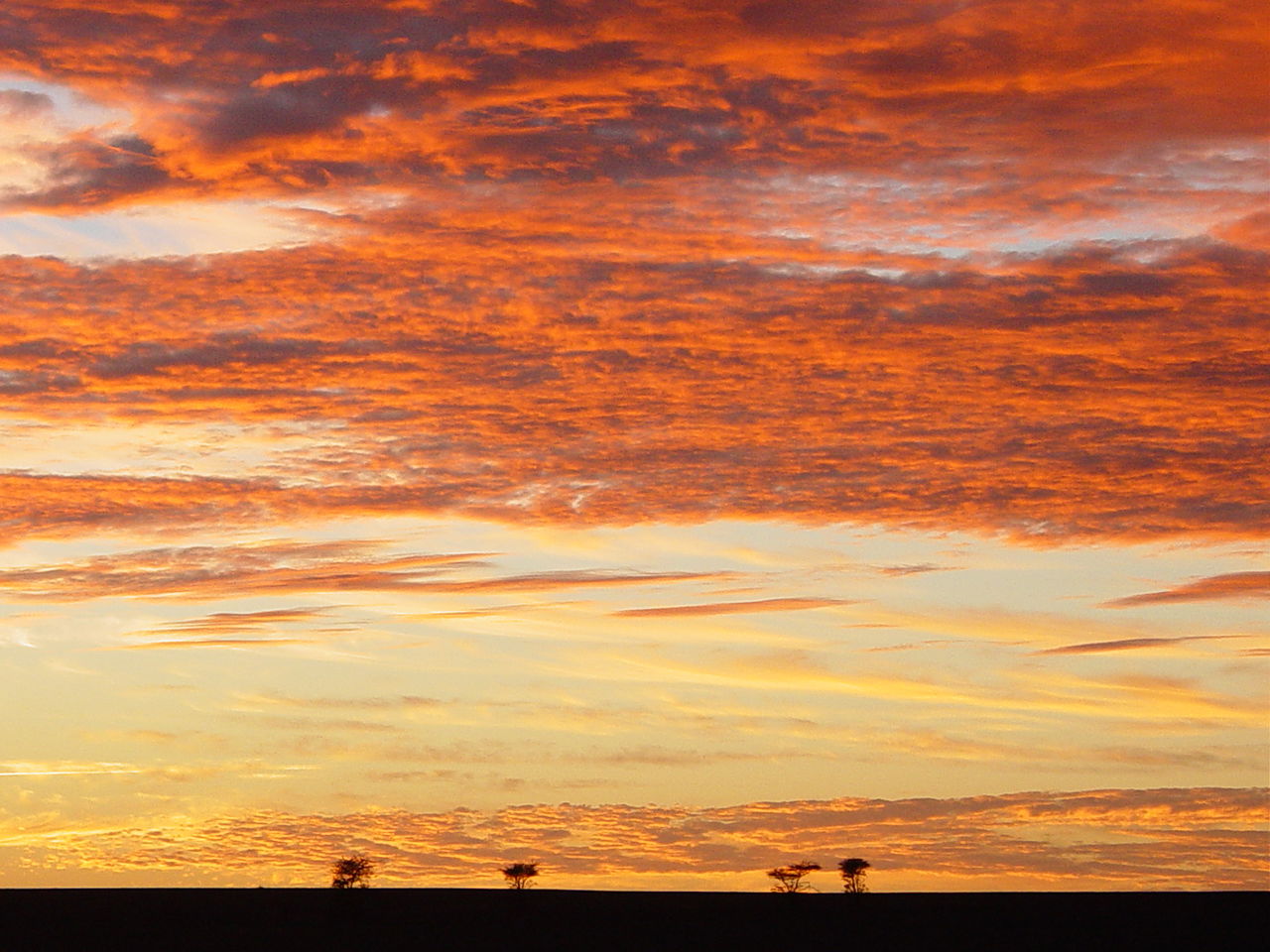 Atardecer en el desierto, diciembre 2005 - Dr. Jons