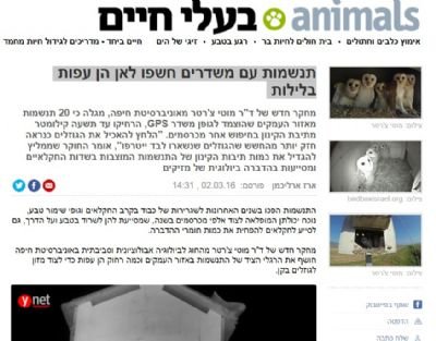 Ynet- תנשמות עם משדרים חשפו לאן הן עפות בלילות
