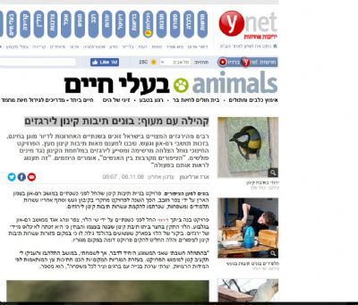 Ynet- קהילה עם מעוף: בונים תיבות קינון לירגזים