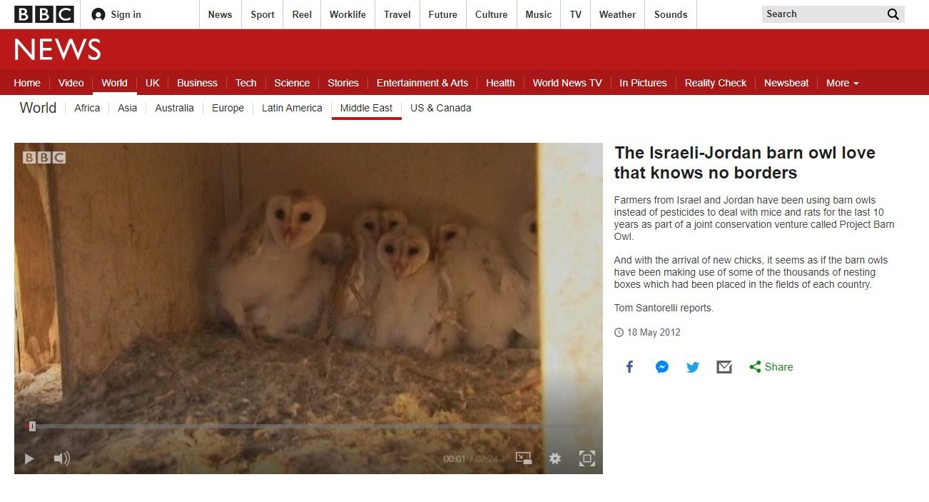 BBC- Israeli and Jordanian barn owl get together.