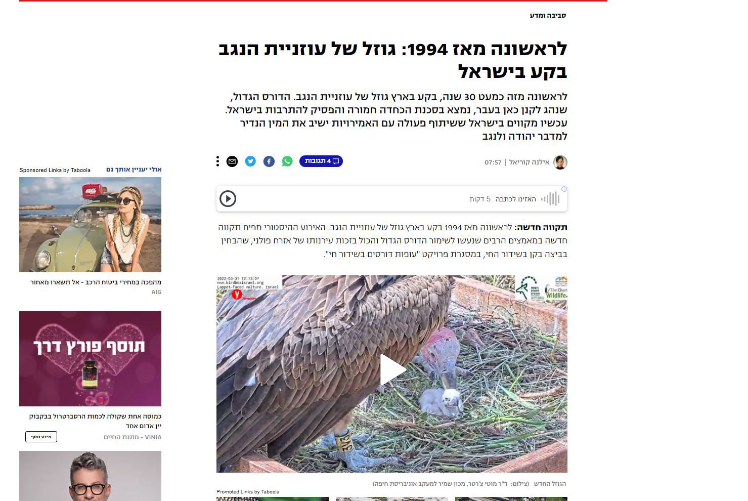 לראשונה מאז 1994: גוזל של עוזניית הנגב בקע בישראל