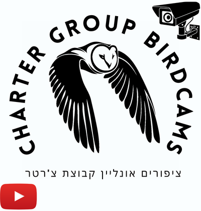 The Charter Group Birdcams live chat and moderation rules image