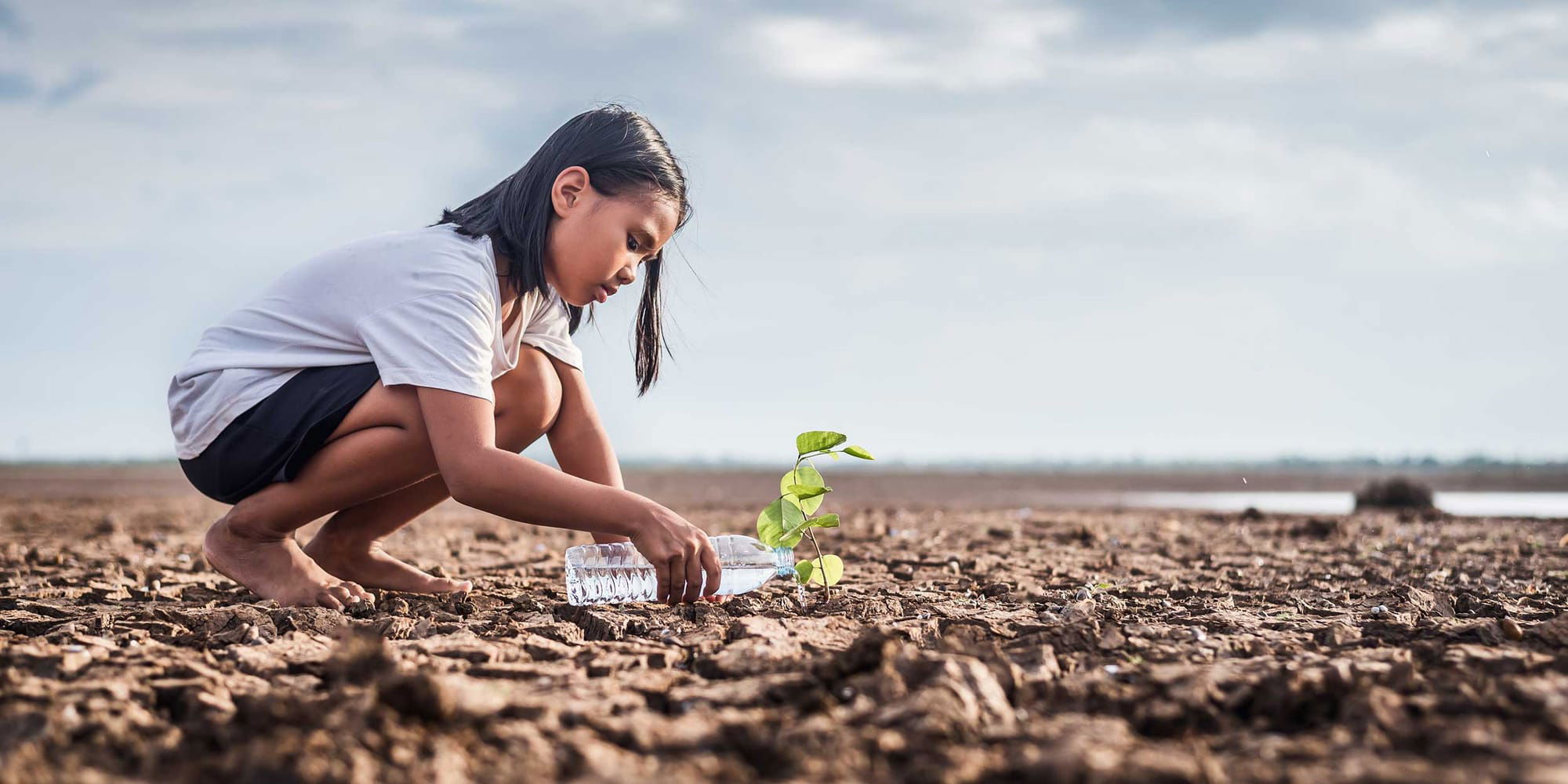 New Strategies for Climate and Security