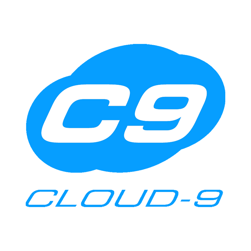 Cloud 9 Saddles