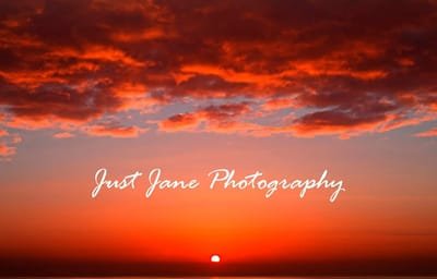 JustJanePhotography