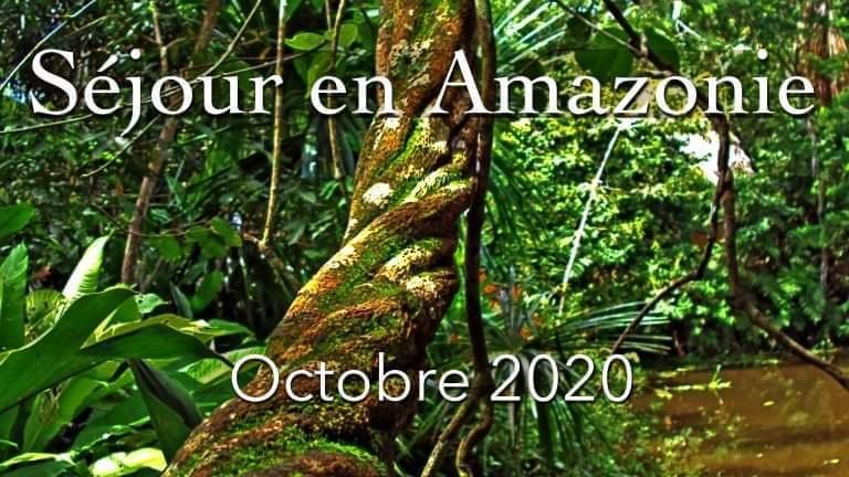 (PÉROU) Séjour en Amazonie - 8 ou 11 jours du 1 au 11 octobre 2020