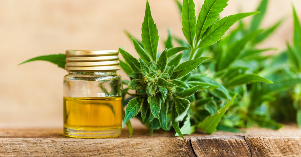 If CBD cannabis is legal, is it healthy?