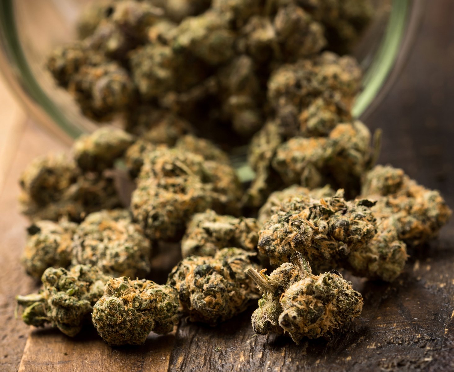 CBD Cannabis and the drug addiction question