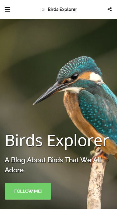 Website Templates | Free HTML5 Website Templates - SITE123