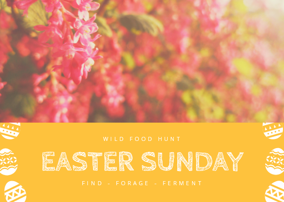 Easter Wild Food Hunt