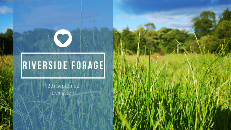 Fungi & Riverside Foraging Walk