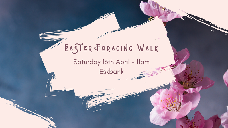Easter Holiday Foraging Walk