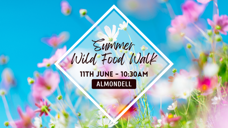 Summer Wild Food Walk