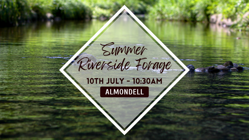 Summer Riverside Forage