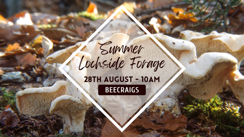 Summer Lochside Forage
