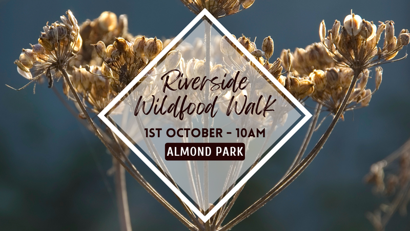 Riverside Wildfood Walk