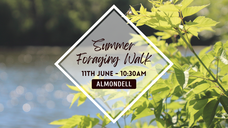 Summer Foraging Walk