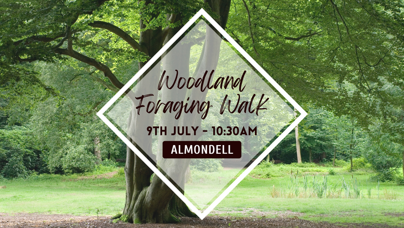 Woodland Foraging Walk