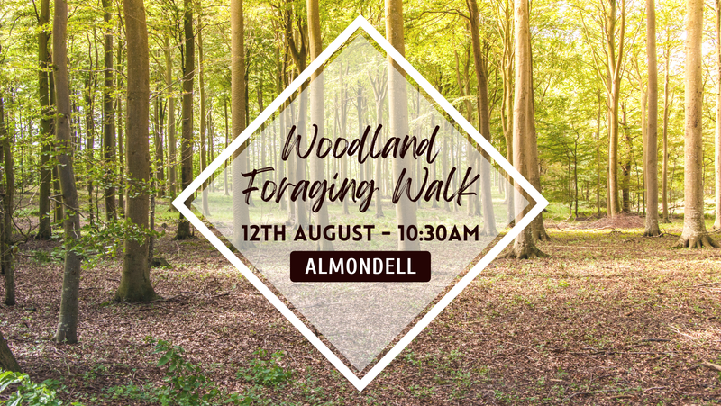 Wild Food Foraging Walk