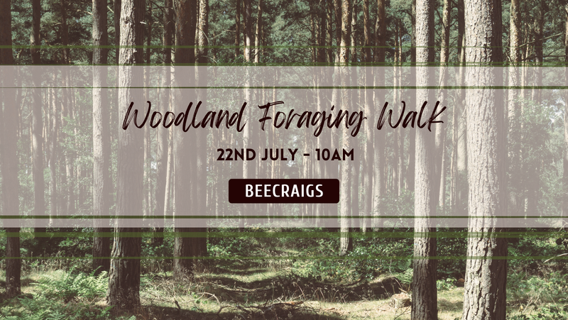 Woodland Wild Food Walk