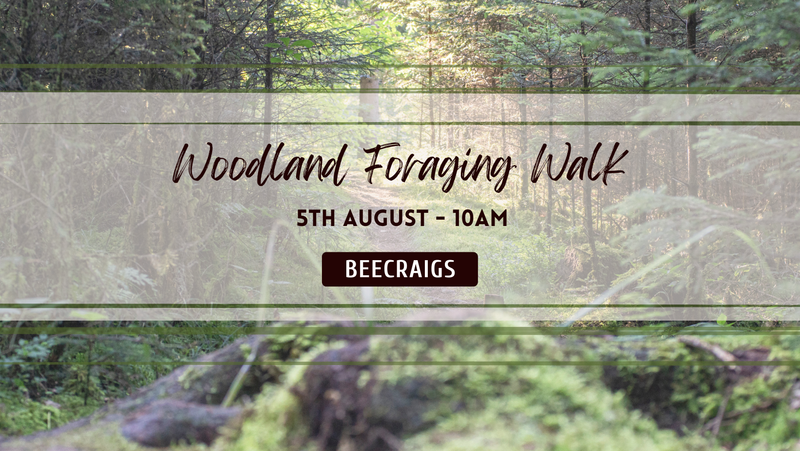 Woodland Wild Food Walk