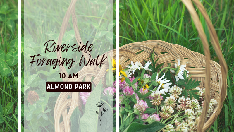 Riverside Foraging Walk - Summer