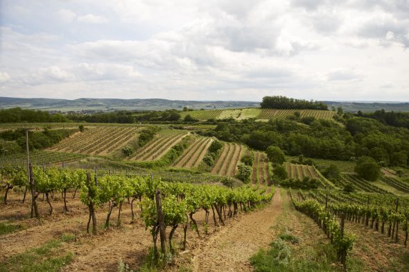 Rakousko - Weinviertel