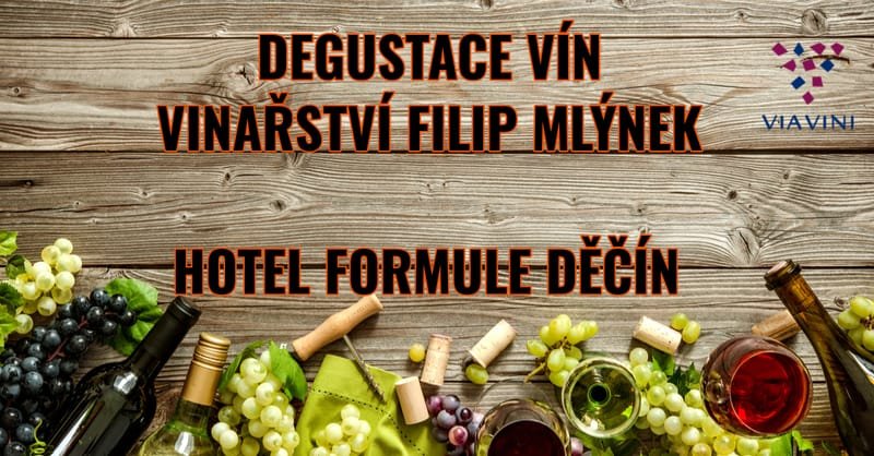 Degustace vín z vinařství Filip Mlýnek - Hotel Formule Děčín