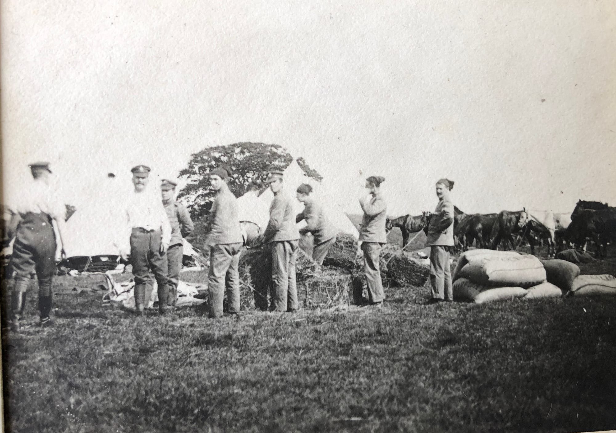 Collecting forage for the horses at Latimer Camp in 1903. Squadron Sergeant Major Thomson is the figure second from left and Corporal Dick, 46 is standing behind him.