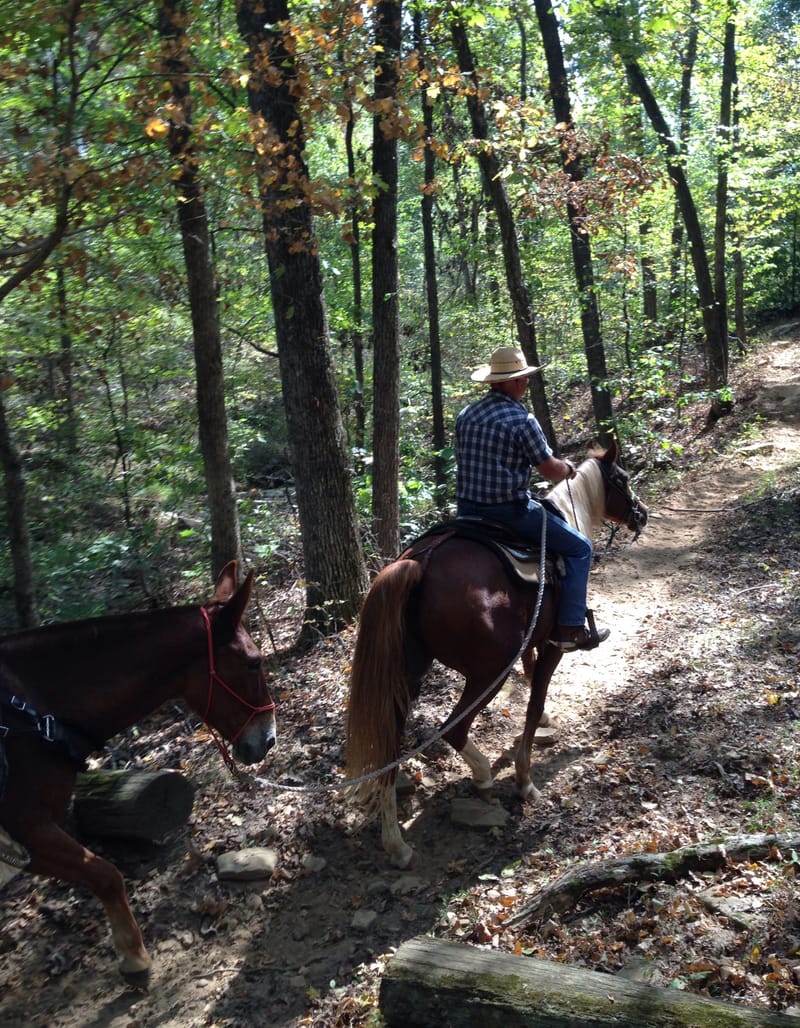 NATIONAL WILDERNESS STEWARDSHIP ALLIANCE GRANT