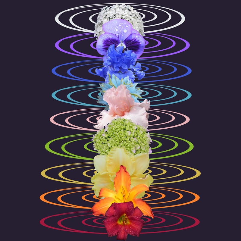 Auras and Chakras