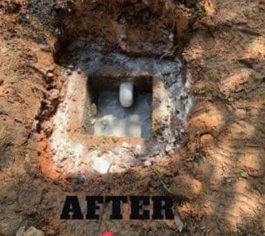Septic roots removed from septic system