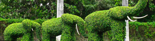 TOPIARY SCULPTURES AND LIVING WALLS