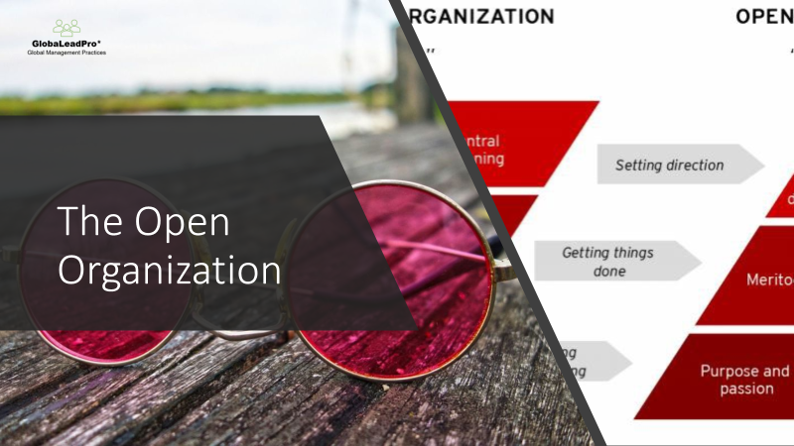 Something old, Something new, Something borrowed - The Open Organization