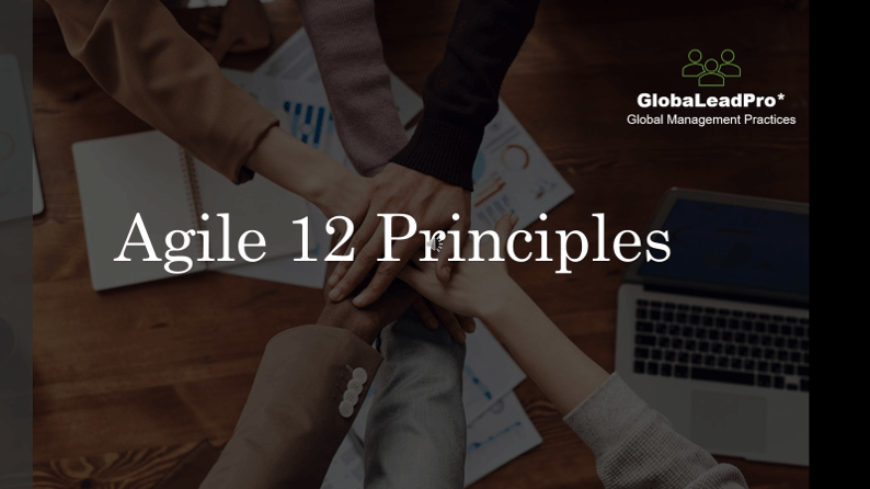 12 Agile Principles  - Implement what is right for you
