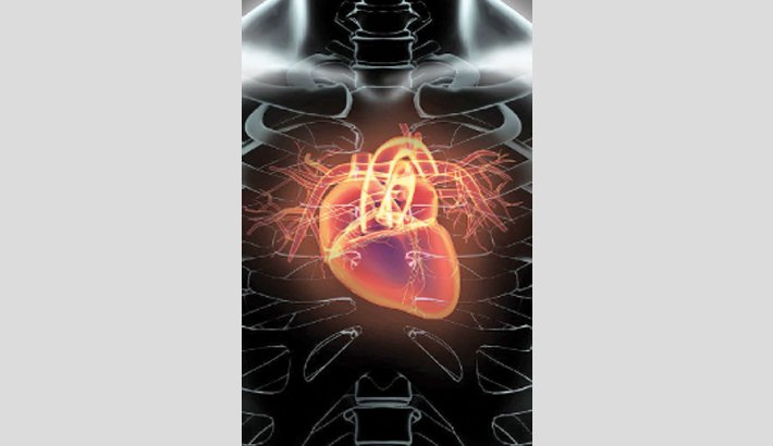 Human Heart: The Innate Engineer | Abdullah Al Moinee