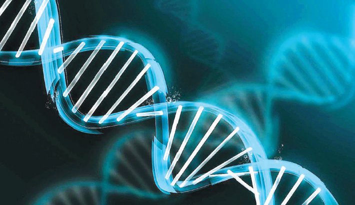 DNA: The Inborn Identity | Abdullah Al Moinee
