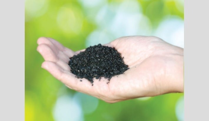 Biochar: An Effective Approach To Sustainable Agriculture | Abdullah Al Moinee