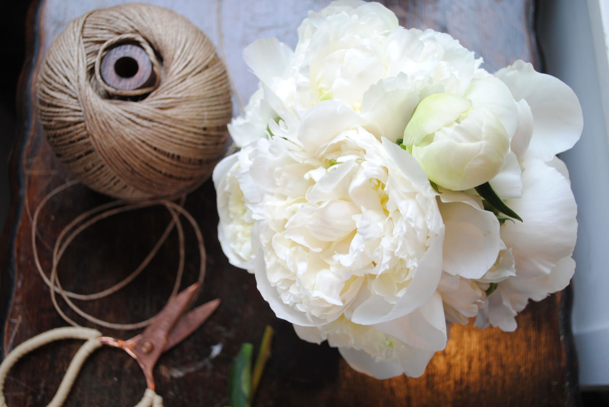 White Peonies.