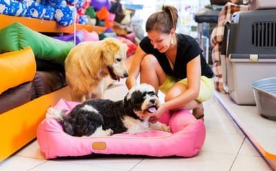 Importance of Pet Supplies image