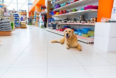 How to Purchase the Best Pet Supplies? image