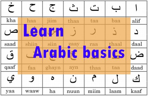 Arabic basics : 2 classes / week ( 8 classes / month ) = 30 USD